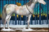 Horse Color:Nacre Plaid  White Spotted Brown Pearl Dun Brindle 