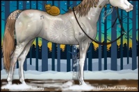 Horse Color:Liver Red Dun Pearl Sabino 