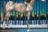 Horse Color:Gray White Spotted Liver Red Dun Sabino Rabicano