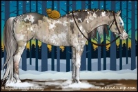 Horse Color:White Spotted Liver Red Dun Sabino Splash