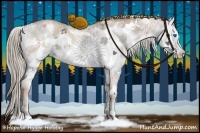 Horse Color:Liver Red Dun Ice Pearl Sabino Splash 