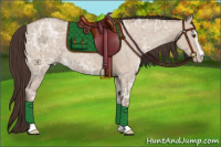 Horse Color:Classic Champagne Ice Dun Sabino