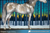 Horse Color:White Spotted Buckskin Dun Sabino Splash Rabicano Brindle