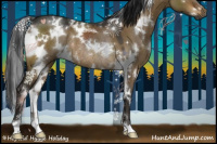 Horse Color:Gray White Spotted Buckskin Dun Rabicano