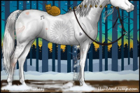 Horse Color:Gray White Spotted Liver Red Dun Mushroom Sabino Splash Brindle 