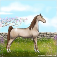 Horse Color:Smoky Black Pearl Appaloosa 