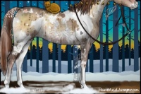 Horse Color:White Spotted Liver Red Dun Onyx Brindle