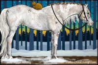 Horse Color:White Spotted Liver Red Onyx Ice Pearl Sabino Rabicano