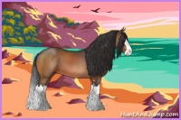 Horse Color:Bay Sabino Splash 