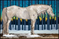 Horse Color:White Spotted Chocolate Palomino Pearl Dun