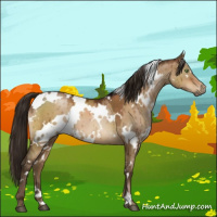 Horse Color:Gray White Spotted Brown Pearl Dun Brindle