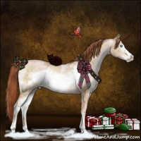 Horse Color:White Spotted Buckskin Pearl Dun Sabino Frame Brindle 