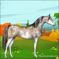 Horse Color:Gray White Spotted Brown Ice Pearl Dun Sabino Splash 