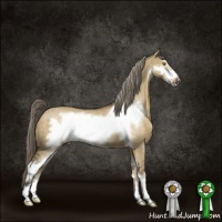 Horse Color:Chocolate Palomino Dun Sabino Frame Brindle