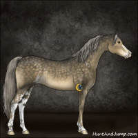 Horse Color:Chocolate Palomino Mushroom Sabino Rabicano