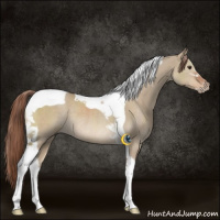Horse Color:Liver Red Dun Sabino Tobiano Rabicano