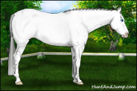 Horse Color:Liver Chestnut Frame 