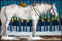 Horse Color:White Spotted Silver Brown Onyx Sabino Splash Rabicano