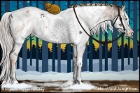 Horse Color:White Spotted Silver Brown Ice Dun Sabino Splash Rabicano
