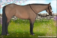 Horse Color:Brown Dun Brindle