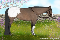 Horse Color:Brown Dun Appaloosa Brindle 