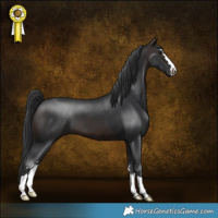 Horse Color:Brown 
