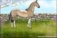 Horse Color:Gray Brown Dun Tobiano 
