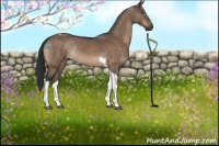 Horse Color:Brown Dun Tobiano 