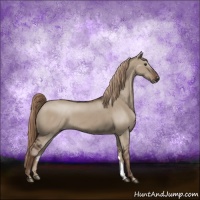 Horse Color:Liver Red Dun 