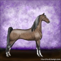 Horse Color:Brown Dun Sabino Rabicano Brindle 