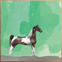 Horse Color:Brown Tobiano 