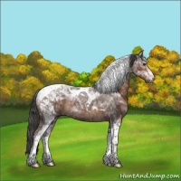 Horse Color:Liver Chestnut Tobiano