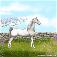 Horse Color:Chocolate Palomino Pearl Dun Tobiano Snowcap 