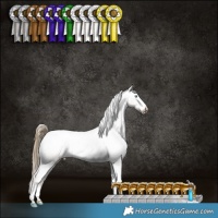 Horse Color:Buckskin Pearl Dun Appaloosa Brindle