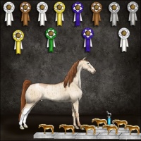 Horse Color:Buckskin Pearl Dun Appaloosa Brindle