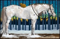 Horse Color:White Spotted Grullo Pearl Splash Rabicano 