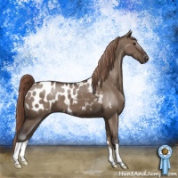 Horse Color:Liver Red Dun Near Leopard 