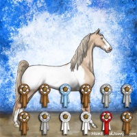 Horse Color:Gold Champagne Dun Frame Snowcap
