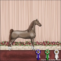 Horse Color:Liver Red Dun 