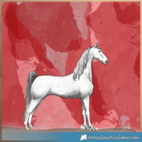 Horse Color:Liver Red Dun Sabino Brindle 