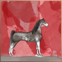 Horse Color:Liver Red Dun Sabino Brindle 