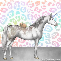 Horse Color:White Spotted Chocolate Silver Grullo Chinchilla Sabino Brindle 