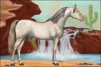 Horse Color:White Spotted Liver Red Dun Pearl Sabino