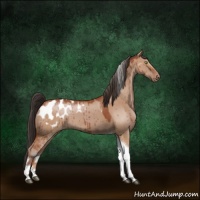 Horse Color:Bay Dun Sabino Tobiano Blanket Brindle 