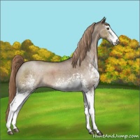 Horse Color:White Spotted Liver Red Dun Roan