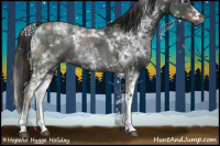 Horse Color:Gray White Spotted Liver Chestnut Ice Rabicano