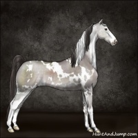 Horse Color:Platinum White Spotted Liver Red Dun Sabino 