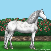 Horse Color:Platinum Chocolate Palomino Dun Sabino 