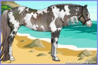 Horse Color:Platinum White Spotted Liver Chestnut Sabino 