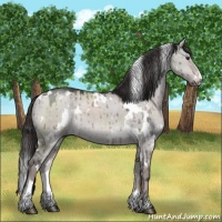 Horse Color:Platinum White Spotted Liver Red Dun Sabino Brindle